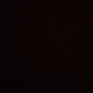 Meet your Posher, Trinity